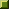 webpage bellybutton