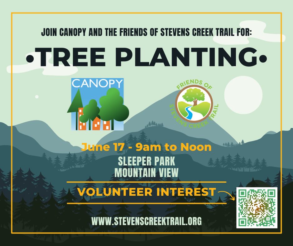 Canopy Tree Planting Poster