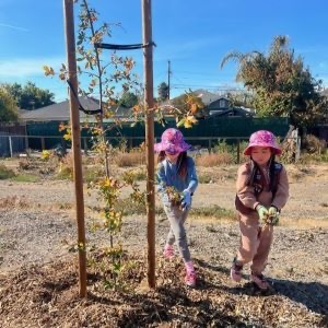 Picture of tree planting kids