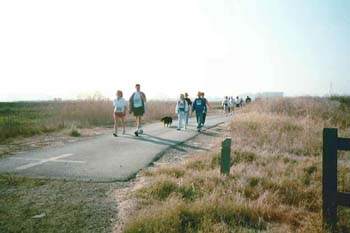 walkers_on)levy