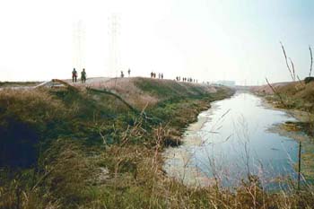walkers_sihouetted