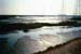 marsh_twilight